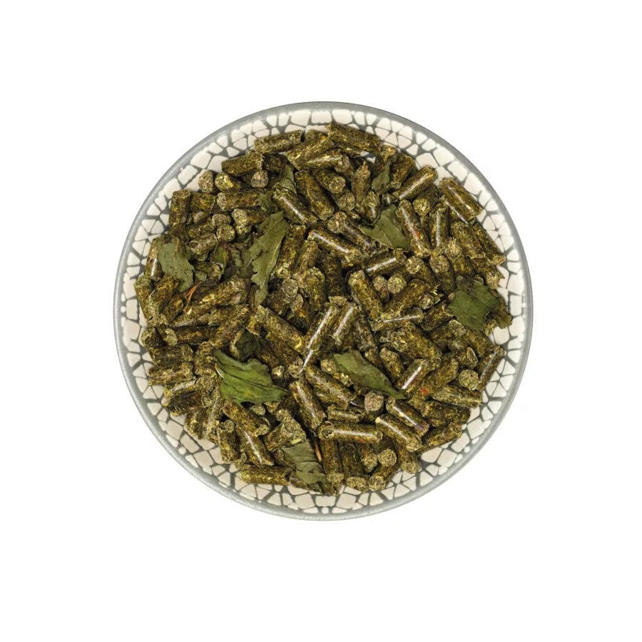 Bunny Nature GuineaPigDream Basic Pienso para cobayas thumbnail