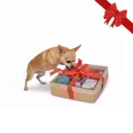 Wonder Christmas Caja de Juguetes Navideños para perros