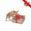 Wonder Christmas Caja de Juguetes Navideños para perros, , large indicador imagen numero 1