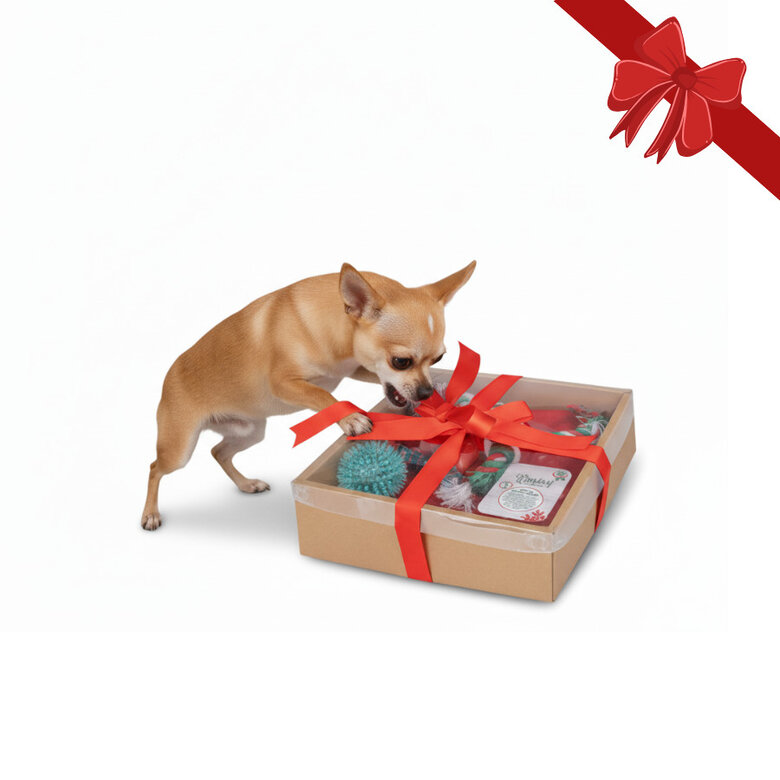 Wonder Christmas Caja de Juguetes Navideños para perros