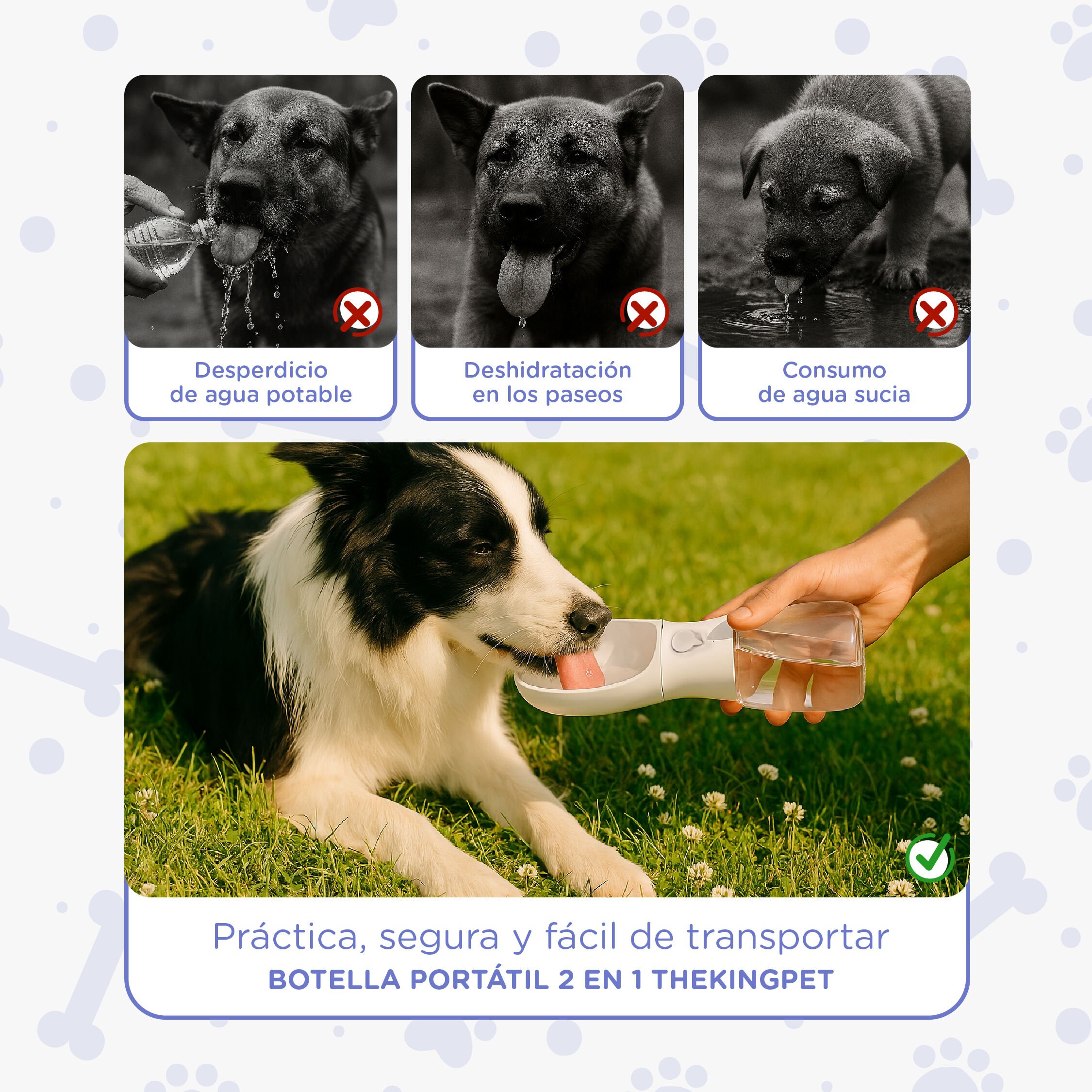 Botella Portátil 2 en 1 TheKingPet – Bebedero y Dispensador de Snacks para Perros y Gatos thumbnail