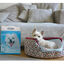 Nobleza - 30 x Empapadores Perros Alfombrilla higiénica de Entrenamiento para Perros. Ultraabsorbente 90cm*60cm., , large indicador imagen numero 18