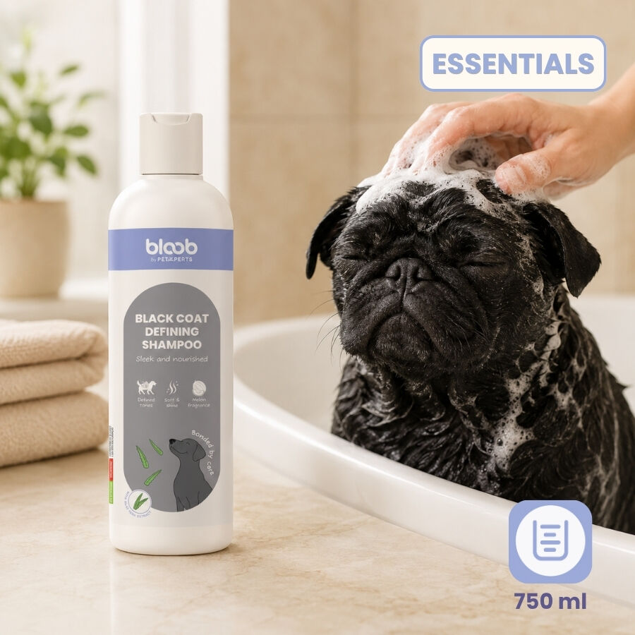 Bloob Champ&uacute; Definidor Mantos Negros Mel&oacute;n para perros, , large Imagen numero 7