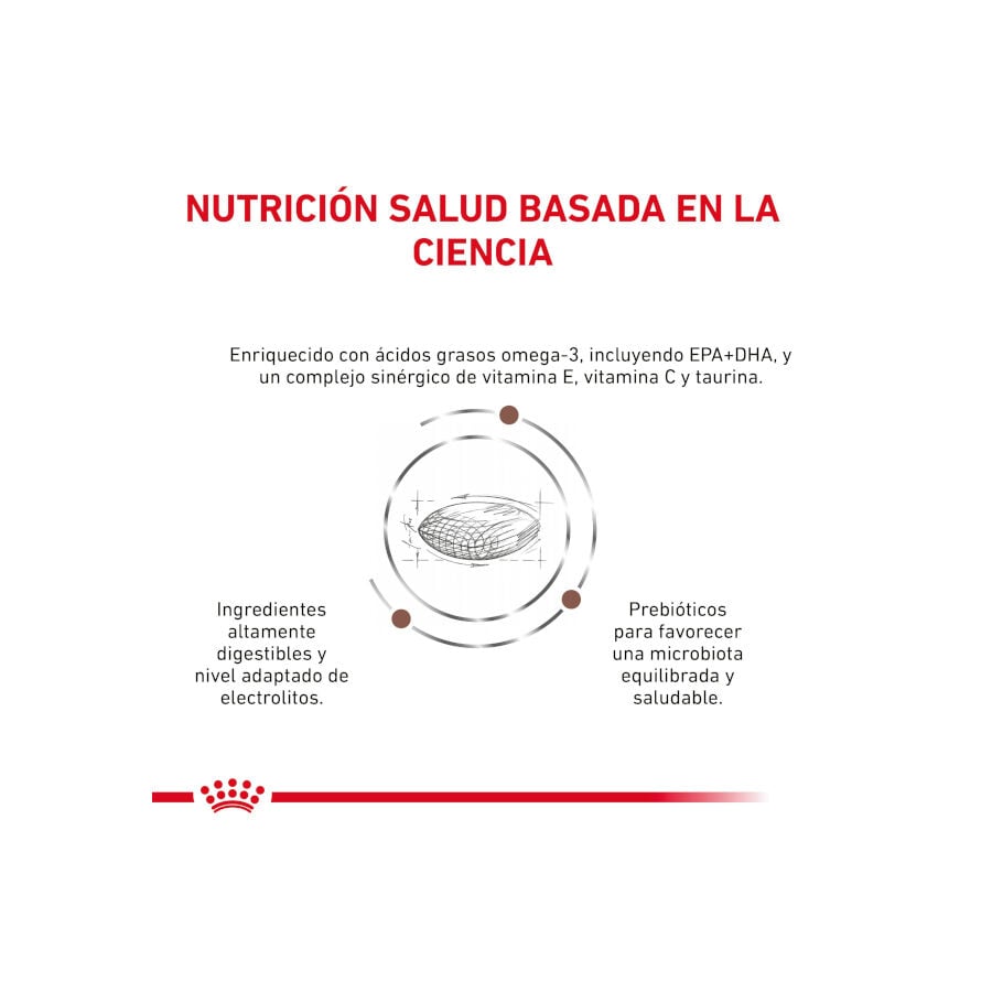 Royal Canin GastroIntestinal Low Fat pienso para perros pequeños thumbnail
