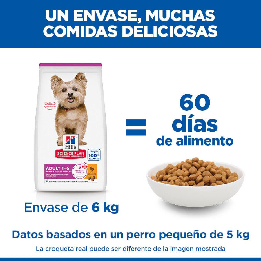 10 kg Hill's Science Plan Adult Small y Mini Pollo pienso para perros, , large Imagen numero 6