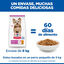 6 kg Hill's Science Plan Adult Small y Mini Pollo pienso para perros, , large indicador imagen numero 6
