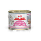 Royal Canin Mother&Baby mousse latas para gatos, , large image number null