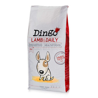 Dingo Adult Cordero pienso para perros