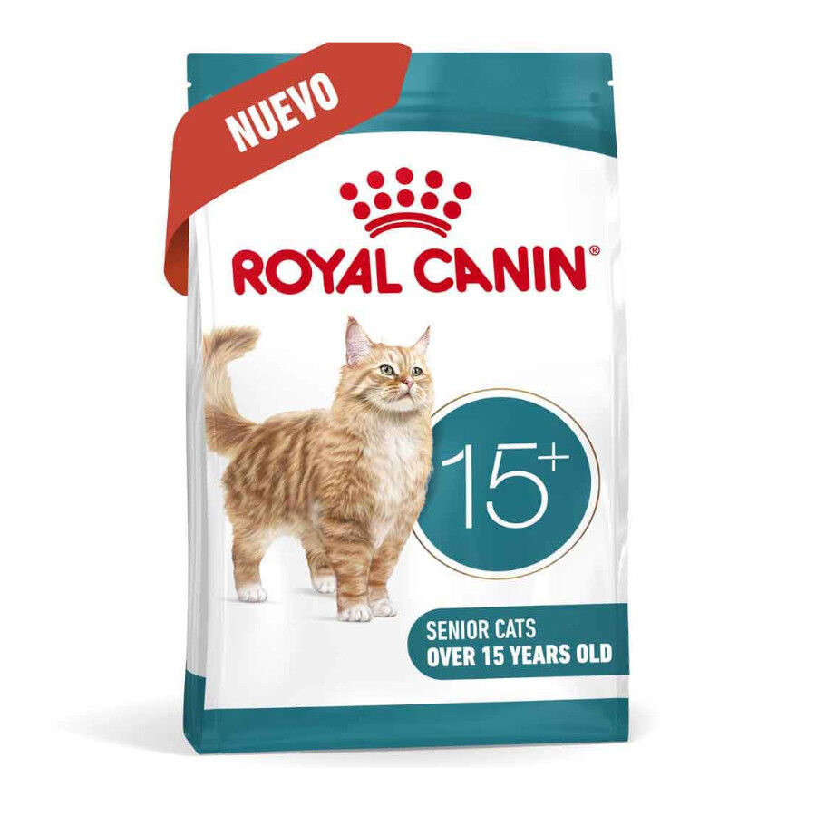 400 g Royal Canin Ageing +15 pienso para gato senior, , large Imagen numero 2
