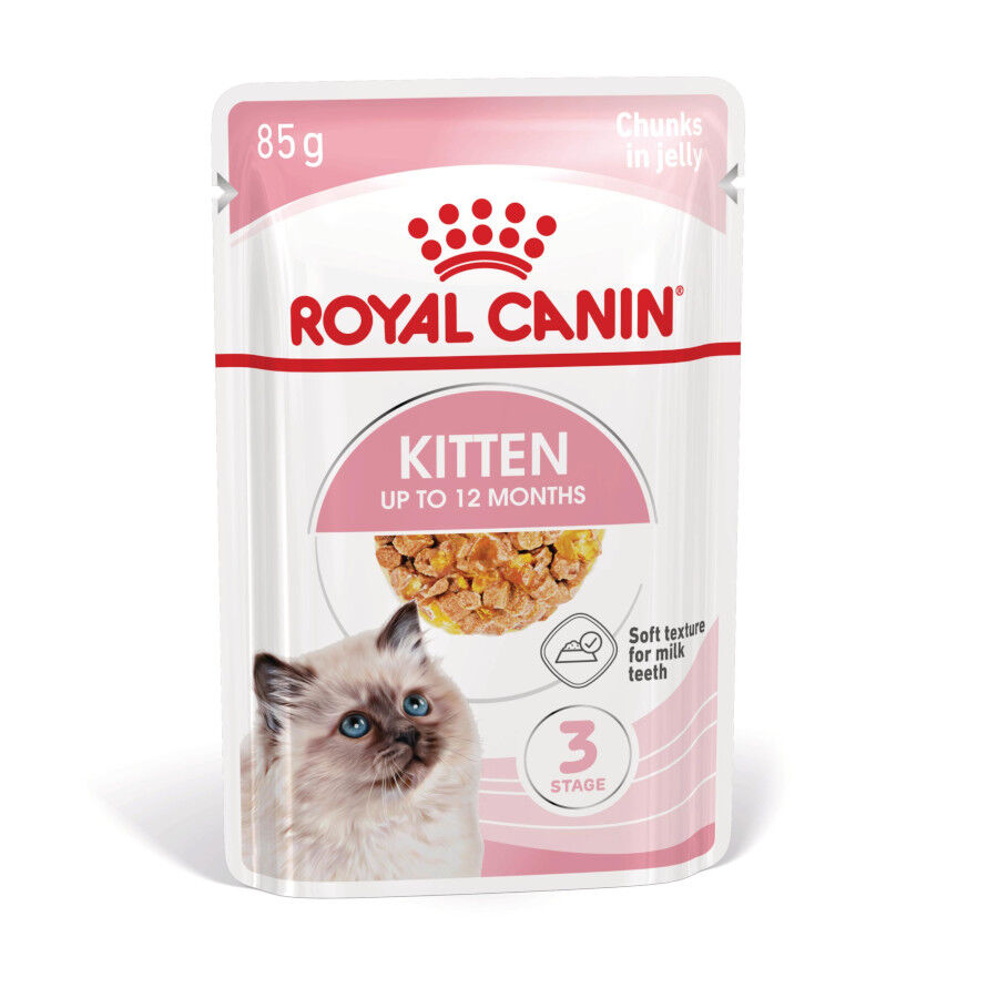 Royal Canin Kitten comida húmeda en gelatina sobre para gatitos thumbnail