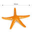 Nobleza - 3 Piezas Adornos para Acuarios Decoración del Acuario Estrella de Mar Artificial, Decoración de Pecera, Estrella de Mar Fluorescente | Caucho Ecológico No Altera Los Parametros del Agua, , large indicador imagen numero 4