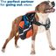 Edipets correa extensible ajustable  azul para perros, , large indicador imagen numero 8