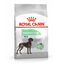 12 kg Royal Canin Digestive Care Maxi pienso para perros, , large indicador imagen numero 1