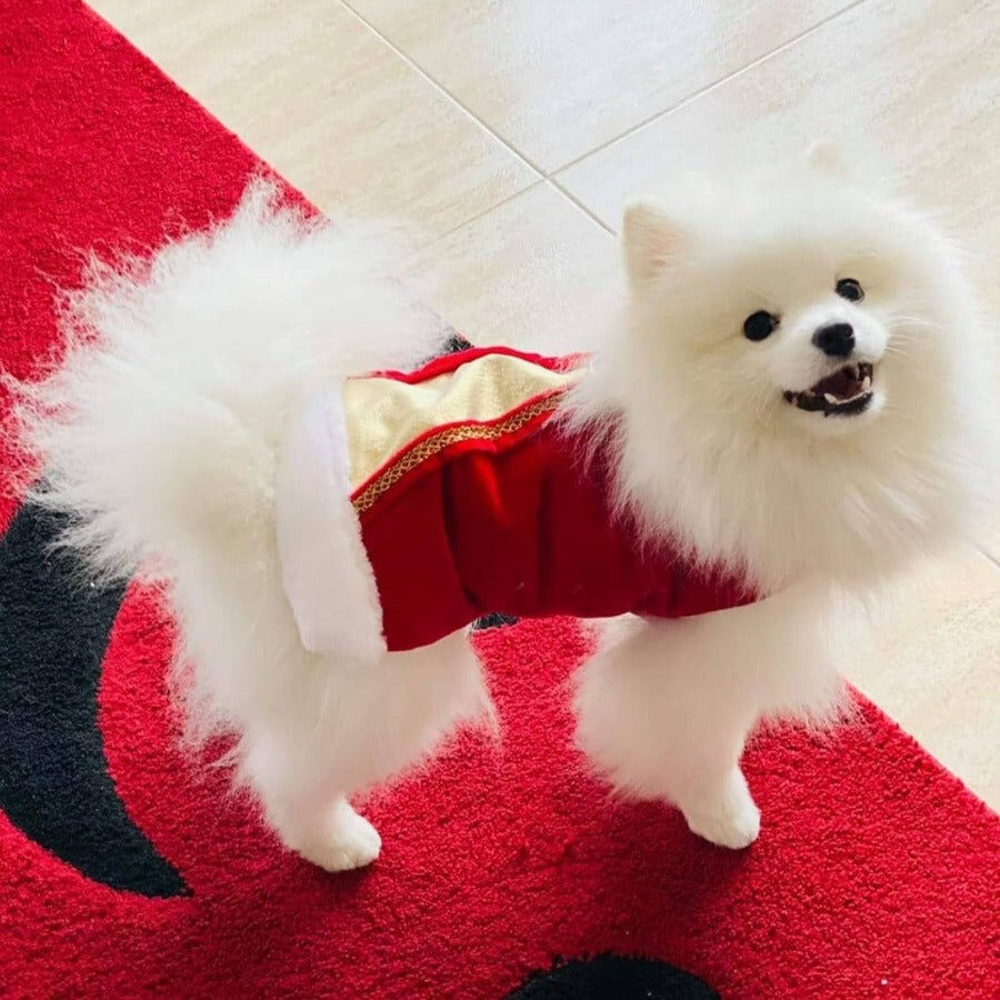 Ideal Pets, Abrigo para perros "Joya de Navidad", , large Imagen numero 2