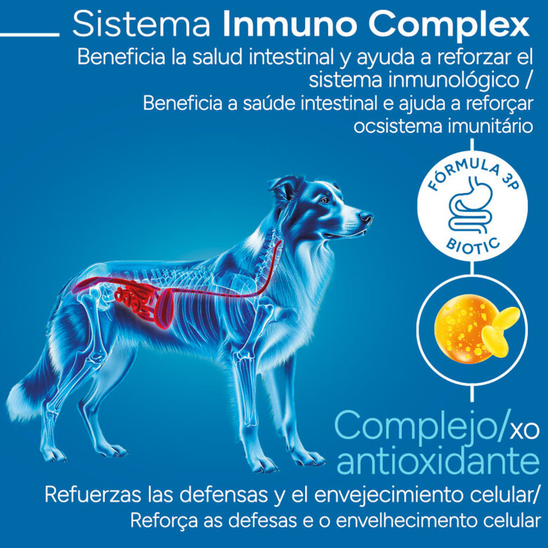 Criadores Científico Senior Pienso para perros de razas medianas y grandes