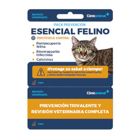 Tarjeta Vacuna Trivalente Gato + Revisión veterinaria