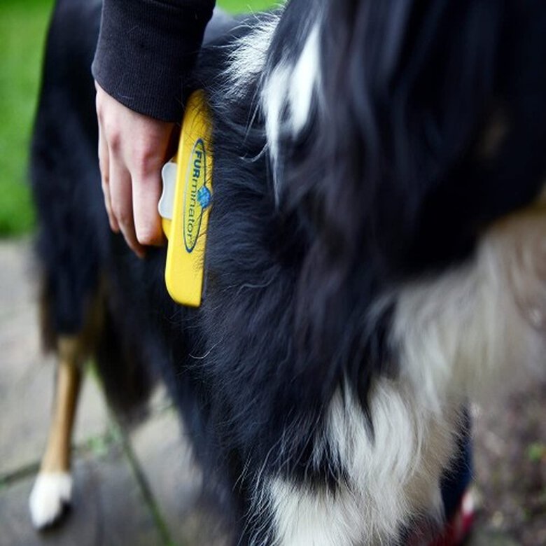 Cepillo Fuminator para perros grandes de pelo largo, , large image number null