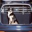 Divisor de coche para perros color Plateado, , large indicador imagen numero 2