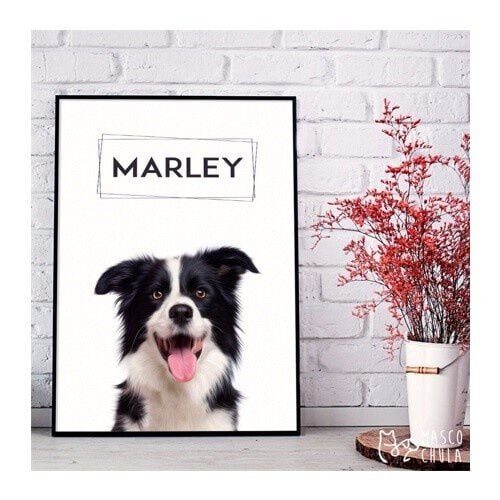 Mascochula cube retrato realista personalizado en digital con tu mascota thumbnail