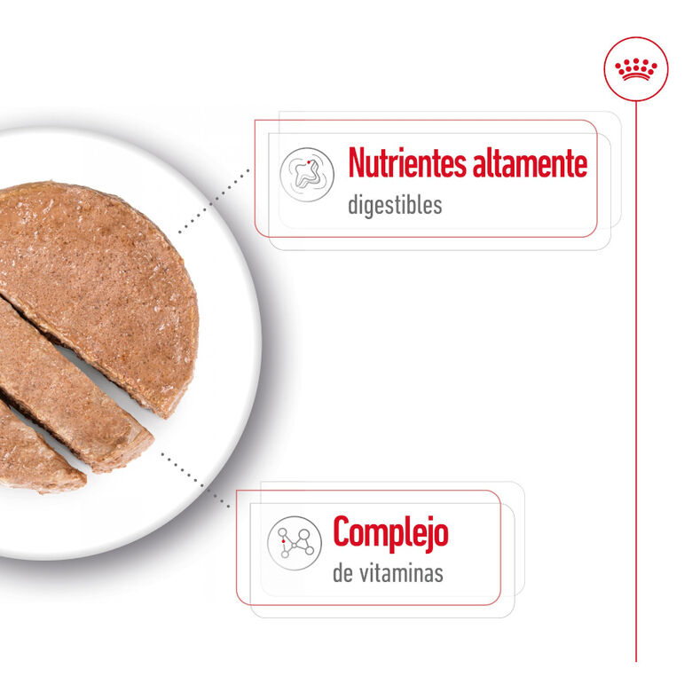 Royal Canin Mini Adult Paté lata para perros thumbnail
