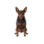 Gotoo Impermeable Reflectante Gris Azulado para perros, , large indicador imagen numero 7