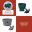 Hari Comedero Lock & Crock 177ml, , large indicador imagen numero 3