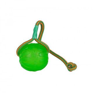 Pelota Swing & Fling Chew Ball para perros color Verde
