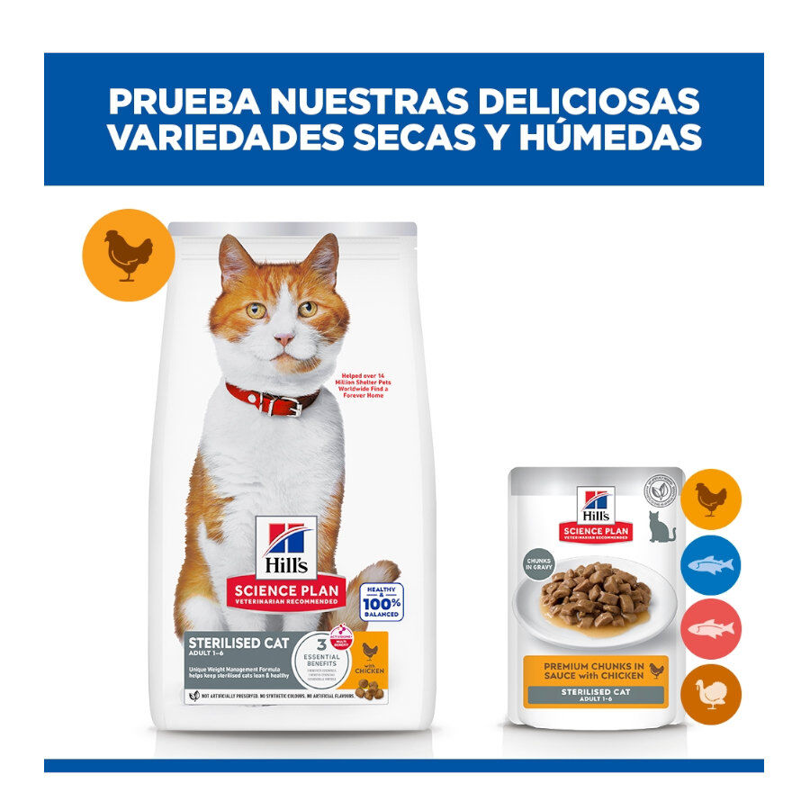 85 g Hill's Science Plan Sterilized Young Adult Pollo sobre para gatos, , large Imagen numero 11