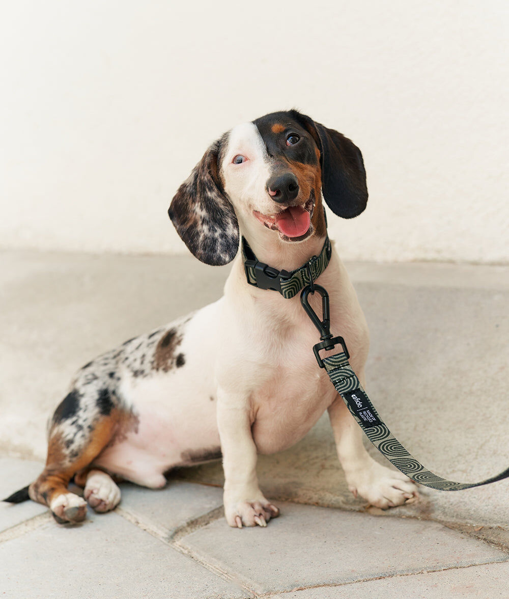 Collar PET Reciclado Dise&ntilde;o Jap&oacute;n Verde, Juno, , large Imagen numero 3