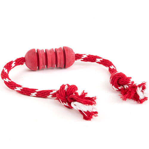Kong Mordedor con cuerdas para perros