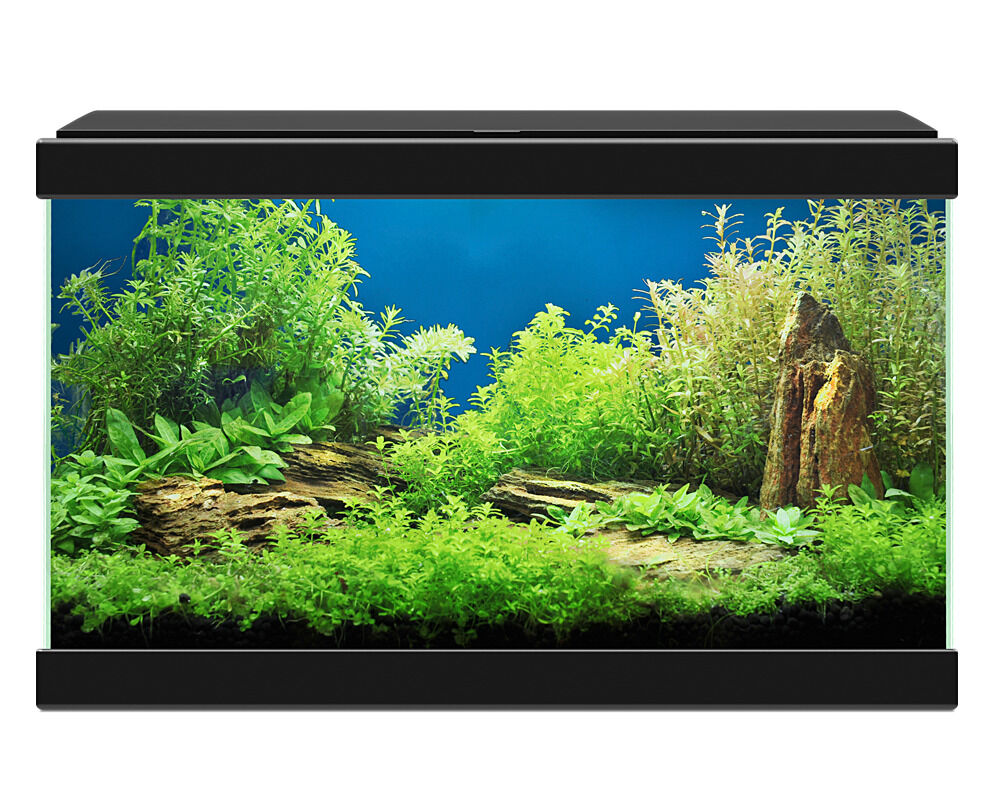 Aqua 20 Ciano Negro - 17 Litros - Kit con Iluminaci&oacute;n, Filtro y Consumibles, , large Imagen numero 2