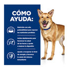 Hill's Prescription Diet Digestive Care i/d Pavo lata para perros, , large image number null