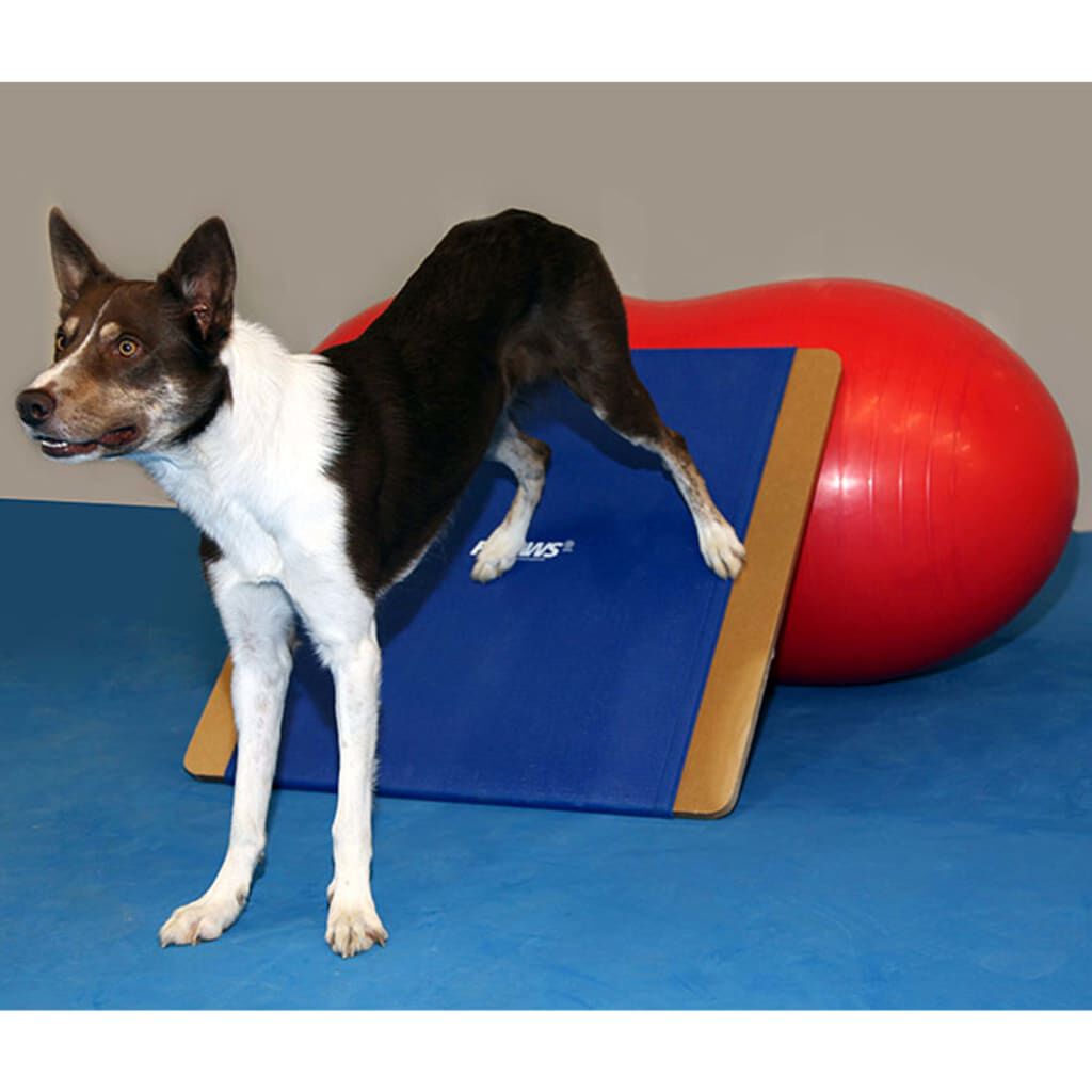 FitPAWS Tabla balanc&iacute;n gigante azul 75x75 cm, , large Imagen numero 4