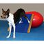 FitPAWS Tabla balanc&iacute;n gigante azul 75x75 cm, , large indicador imagen numero 4