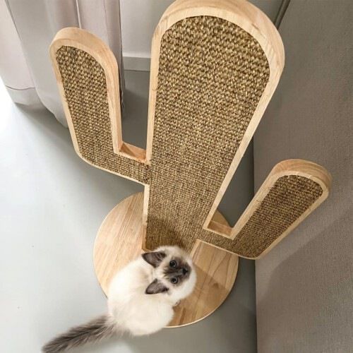 Rascador forma cactus plano para gatos Designed by Lotte Tiendanimal