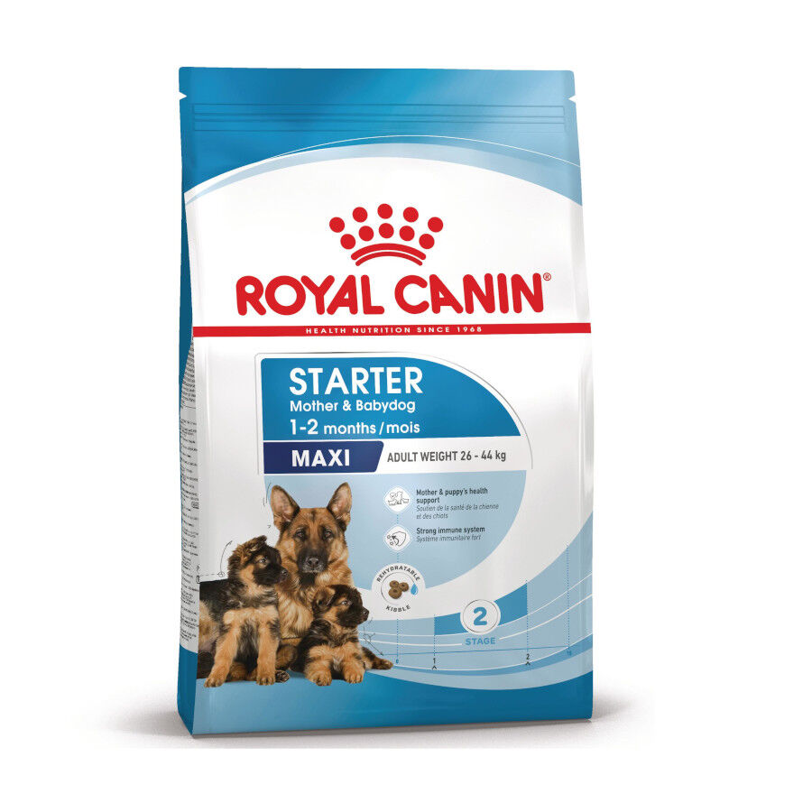 Royal Canin Starter MotheryBaby Maxi pienso para perros thumbnail