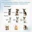PawHut Parque Plegable para Perros y Gatos de 8 Paneles Parque de Juego para Mascotas con Bolsa de Transporte Recinto Portátil para Conejos Conejillos de Indias Ø154x76 cm Azul, , large indicador imagen numero 14