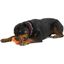 West Paw Design Tux Juguete Naranja para perros, , large indicador imagen numero 9