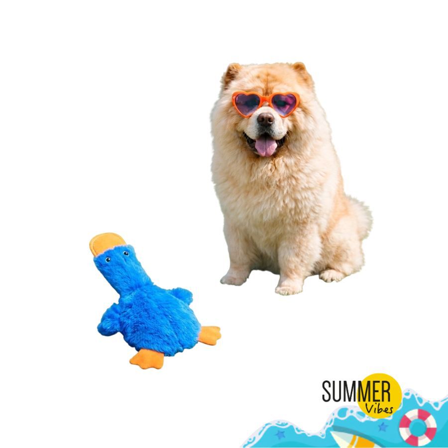 Summer Vibes Pato Dolce Vita Peluche Juguete para perros, , large Imagen numero 7