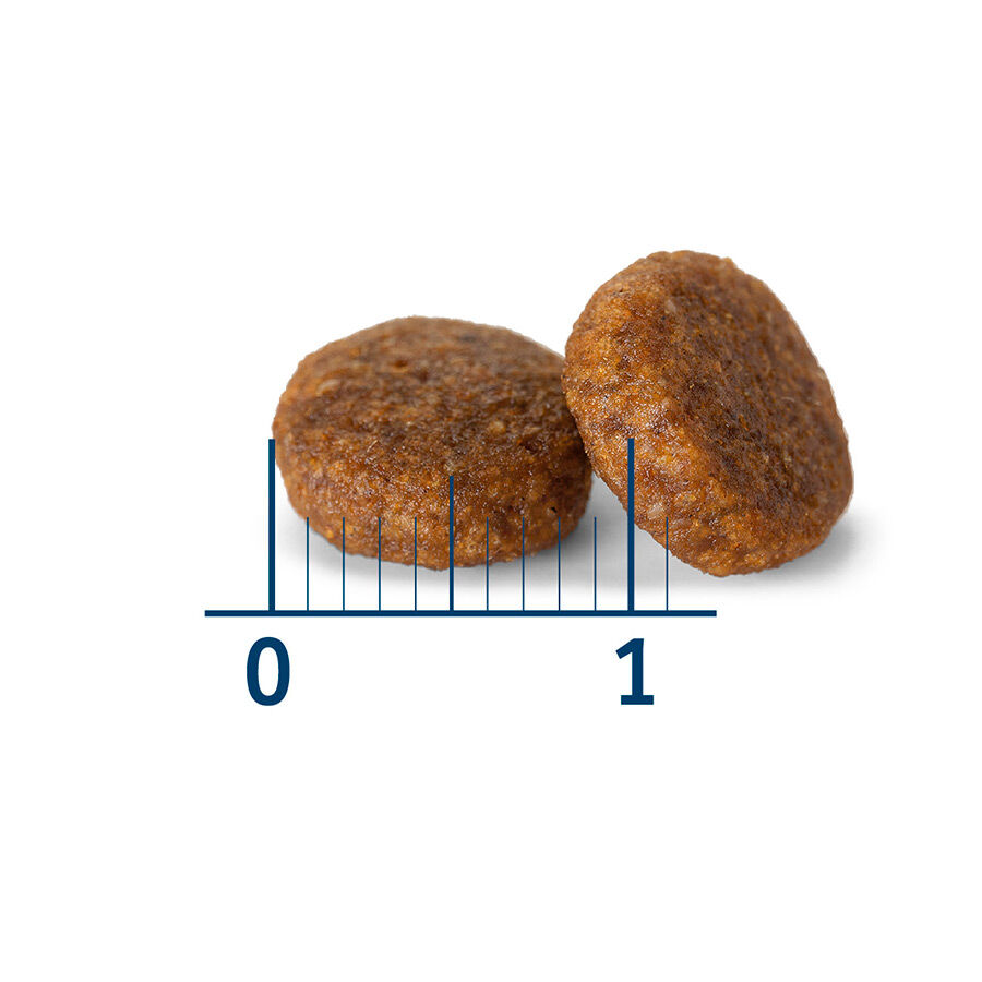 Nath Adult Mini Pollo pienso para perros thumbnail