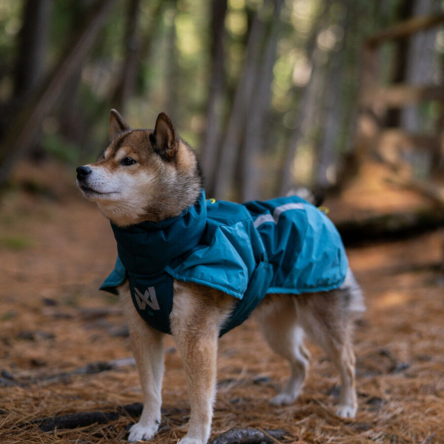 Non-stop Dogwear Chaqueta Azul y Verde para perros, , large Imagen numero 2