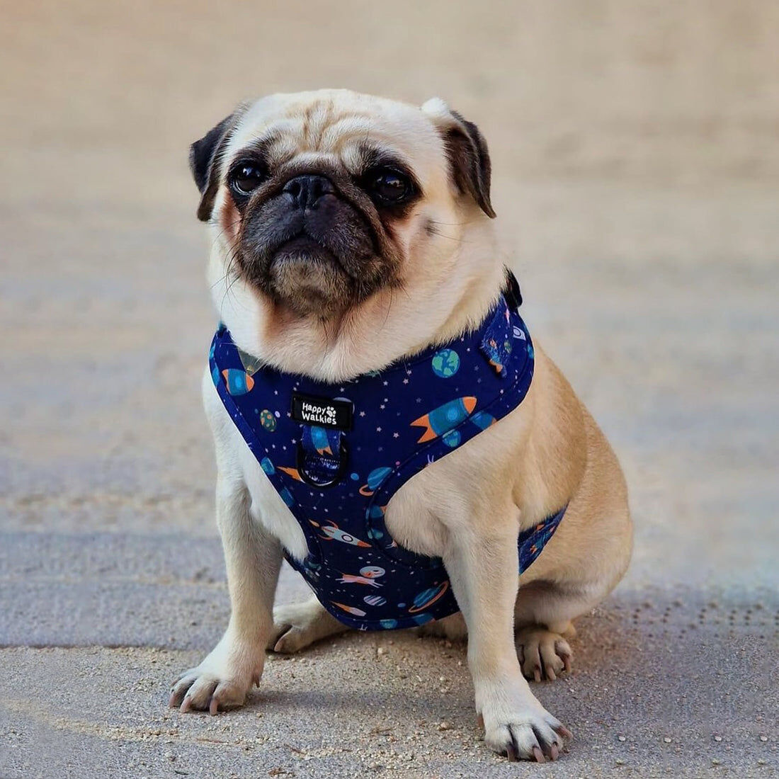 Arn&eacute;s ajustable Dogniverse, , large Imagen numero 3