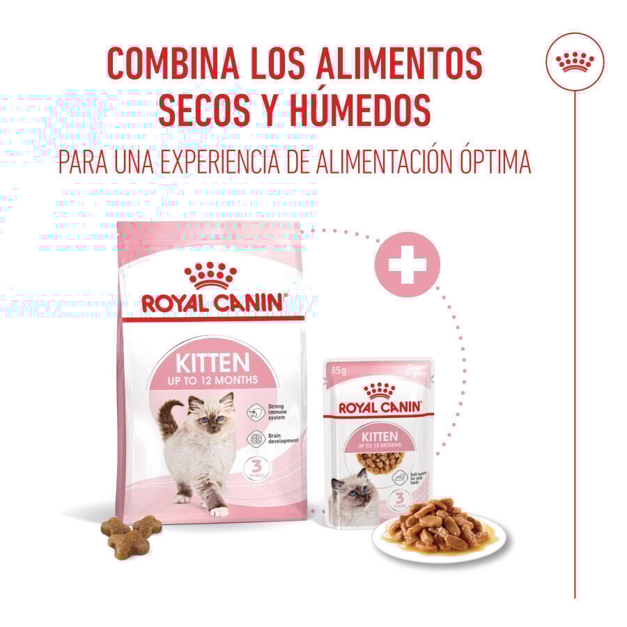 Royal Canin Kitten pienso para gatos thumbnail