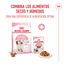 10 kg Royal Canin Kitten pienso para gatos, , large indicador imagen numero 11