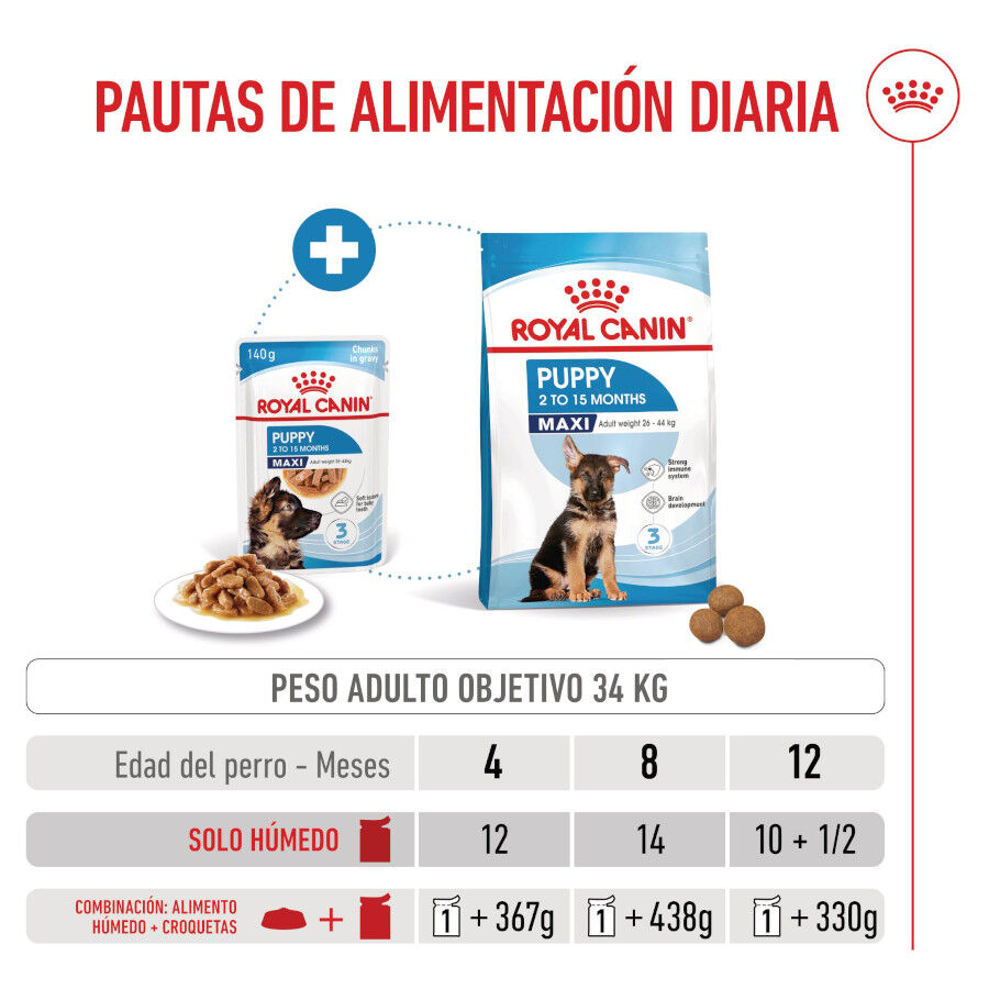 Royal Canin Húmedo Maxi Puppy sobre para perros thumbnail