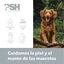 PSH Green Soul Acondicionador para perros y gatos, , large indicador imagen numero 2