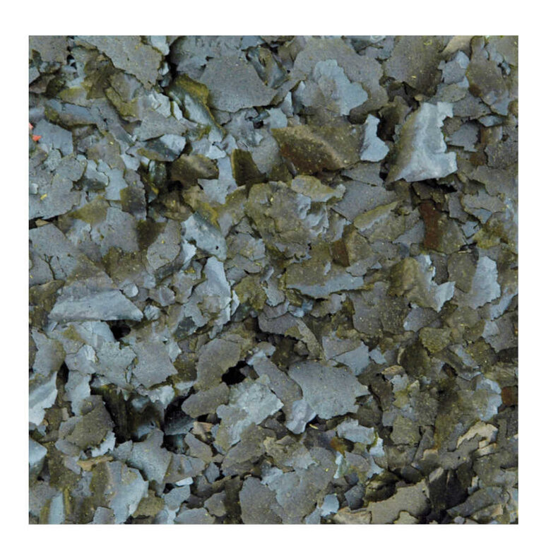 JBL Premium Spirulina Alimento para peces algívoros , , large image number null