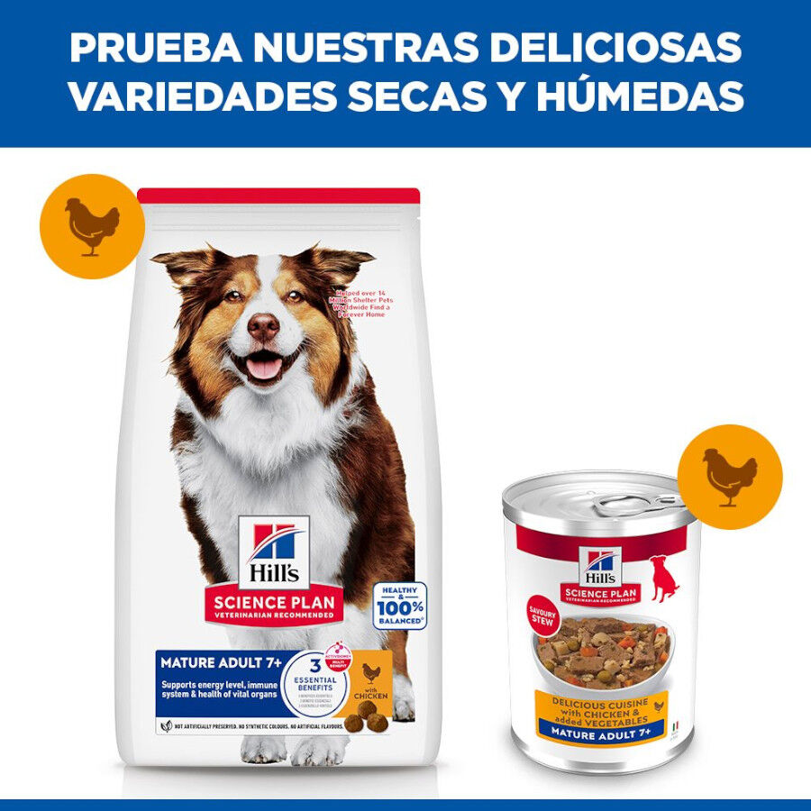 363 g Hill's Science Plan Mature Estofado con pollo y verduras lata para perros, , large Imagen numero 5
