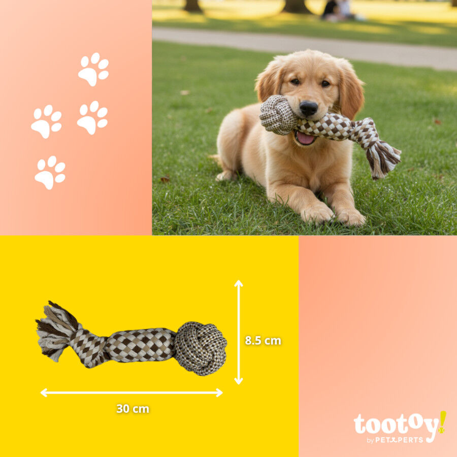 Tootoy! Mordedor de Cuerda con Pelota para perros, , large Imagen numero 4
