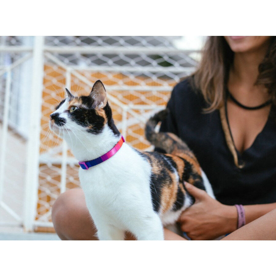 Zee Cat Prisma Collar para gatos, , large Imagen numero 2